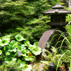 Pagoda garden zen garden